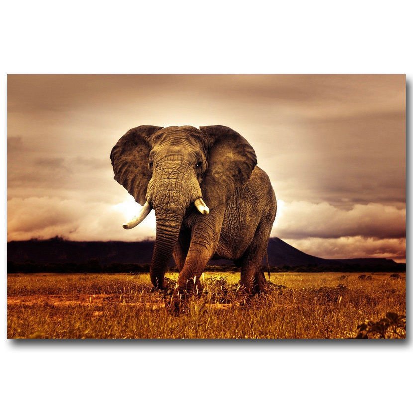 Africa Sunset Elephant Animals Poster Home Wall Decor 32x24