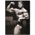 Arnold Schwarzenegger Bodybuilder Mr Olympic Poster 32x24