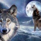 Wolf Wild Nature Animals Art 32x24 Poster Decor
