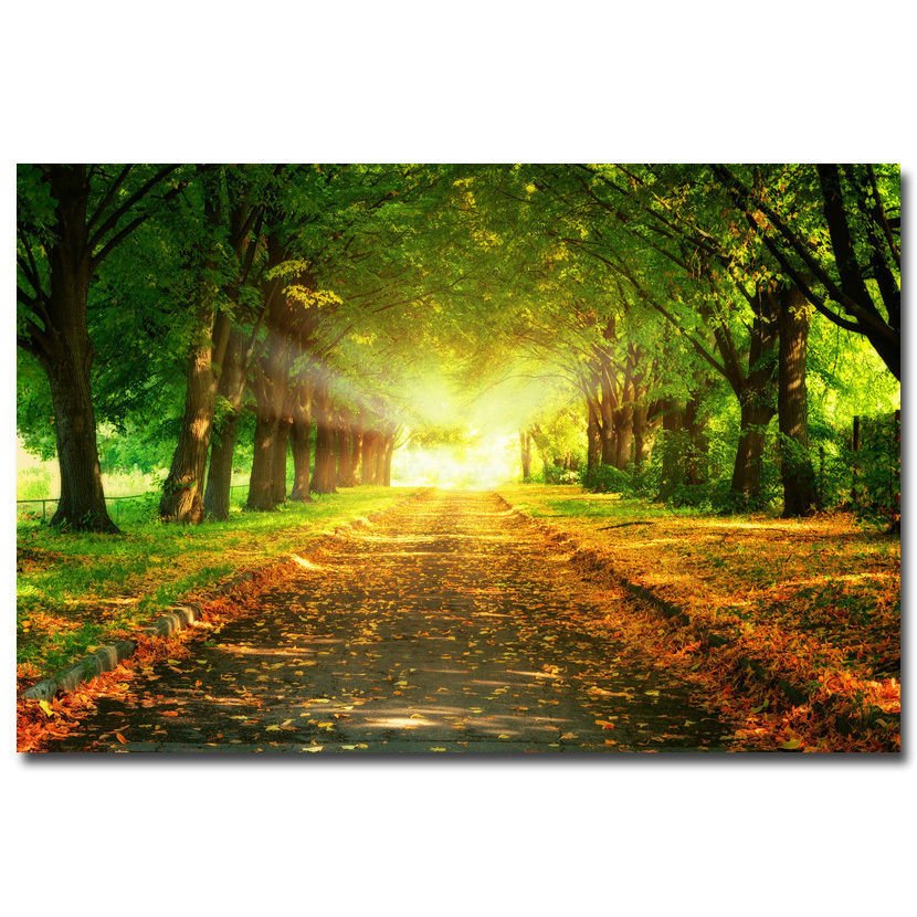 Morning Sunrise Forest Path Nature Poster Trees 32x24