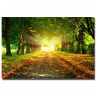 Morning Sunrise Forest Path Nature Poster Trees 32x24