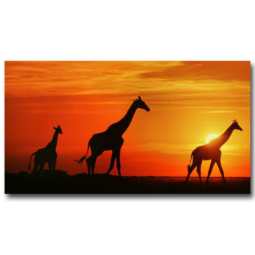 Africa Giraffe Sunset Skyline Nature Poster 32x24