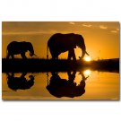 Elephants Sunset Africa Wild Animals Nature Poster 32x24