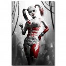 Harley Quinn Batman Arkham City Origins Video Game Poster 32x24
