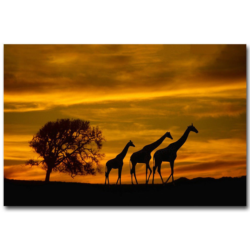 Giraffe Wild Animals Africa Sunset Landscape Art Poster 32x24