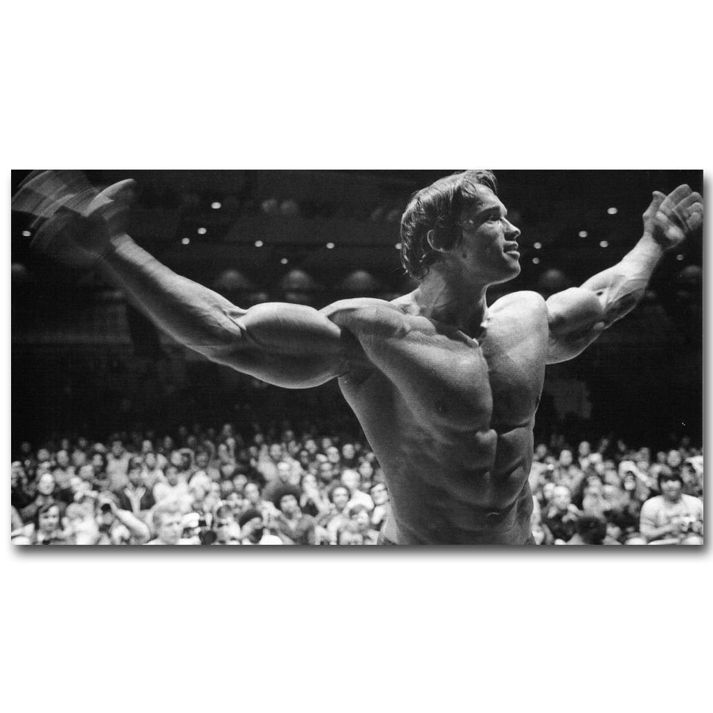 Arnold Schwarzenegger Bodybuilder Mr Olympic Poster 32x24