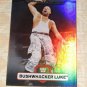 BUSHWHACKER LUKE - 2010 Topps Platinum WWE Rainbow #32
