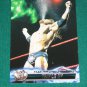 TRIPLE H - 2011 Topps WWE Electrifying Entrances #3