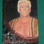 RIC & DAVID FLAIR - 1999 Topps WCW DOUBLE SIDED CHROME