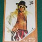 MICHAEL "PS" HAYES - 2011 Topps WWE Heritage #6