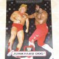 JUNKYARD DOG - 2010 Topps Platinum WWE X-Fractor #119