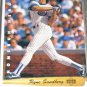 1993 Upper Deck Homerun Heroes Ryne Sandberg
