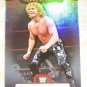 BRIAN PILLMAN - 2010 Topps Platinum WWE Rainbow #79