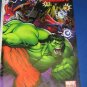 Hulk (2008) #12 Variant Cover - Marvel Comics