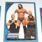 CM PUNK - 2010 Topps WWE Blue #76 - #0417 of 2010 made