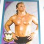 CURT HENNING "MR PERFECT" - 2010 Topps WWE Blue #78 - #0781 of 2010 made