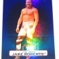 JAKE THE SNAKE ROBERTS -2010 Topps WWE Platinum Blue Refractor #22 - #032 of 199