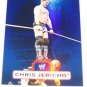 CHRIS JERICHO - 2010 Topps WWE Platinum Blue Refractor #66 - #017 of 199 made