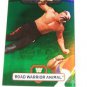 HAWK - 2010 Topps WWE Platinum Green Refractor #19 - #496 of 499 ROAD WORRIORS
