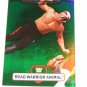 HAWK - 2010 Topps WWE Platinum Green Refractor #19 - #496 of 499 ROAD WORRIORS