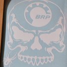 Motorcycle BRP Spyder Scull (Spider) Bone Vinyl Decal Window Sticker