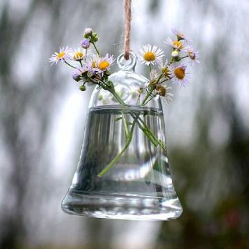 Gift Set - Bell Shape Hanging Glass Vase Hydroponic Plants Container with Suspension Rack