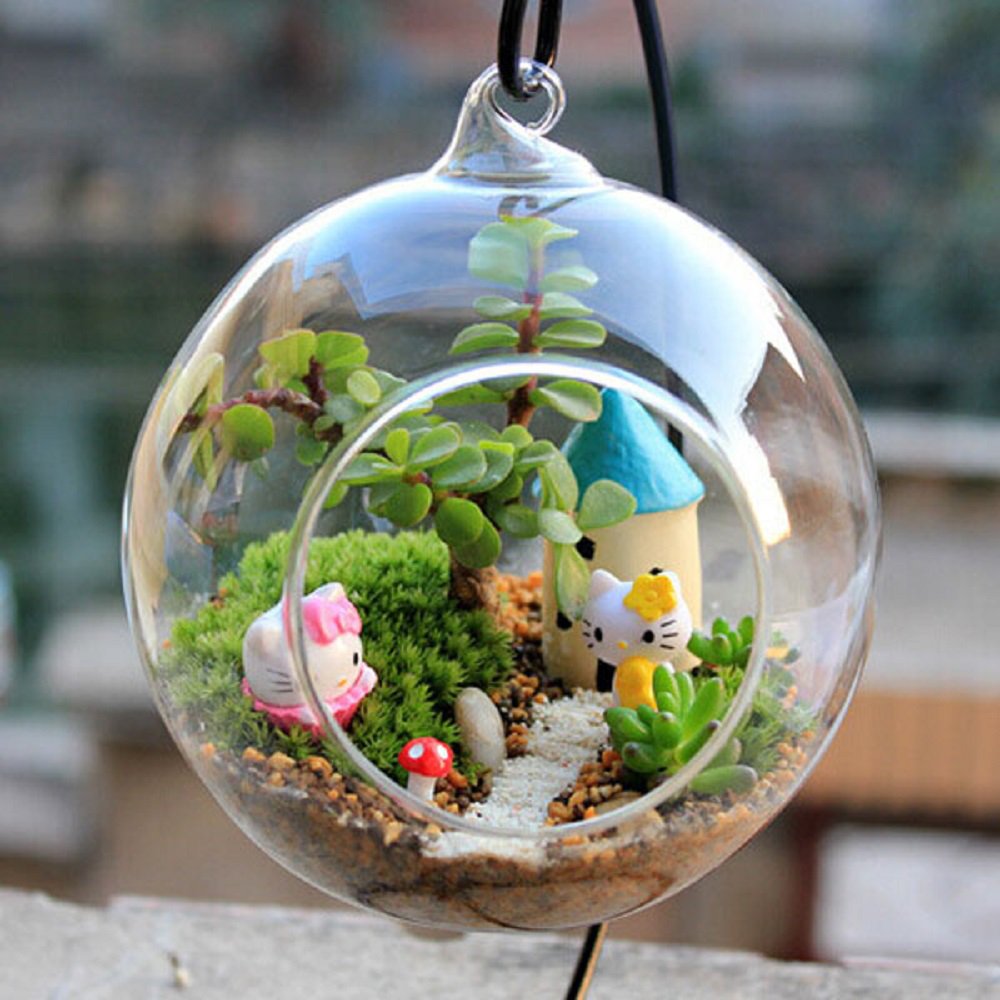 Micro Landscape DIY Plant Glass Hanging Ball (12cm dia.) With Iron Rack