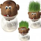 Cute DIY Magic Grass Plant Pot Grass Head Doll Indoor Potted Plant