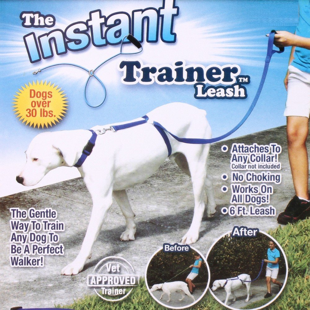 Training Dog Leash.