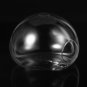 Wall-mounted Half Round Shaped Glass Flower Vase - 2 PCS