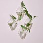 Wall-mounted Rhombus Glass Flower Vase - 2 Pcs Set