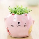 DIY Cute Happy Cat Design Green Grass Potted Plant - Ideal for Desktop Office Home Decor
