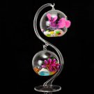 Micro Landscape 2 Pcs Hanging Ball 9.5cm (Dia.) + S Shape 30cm Glass Plant Vase