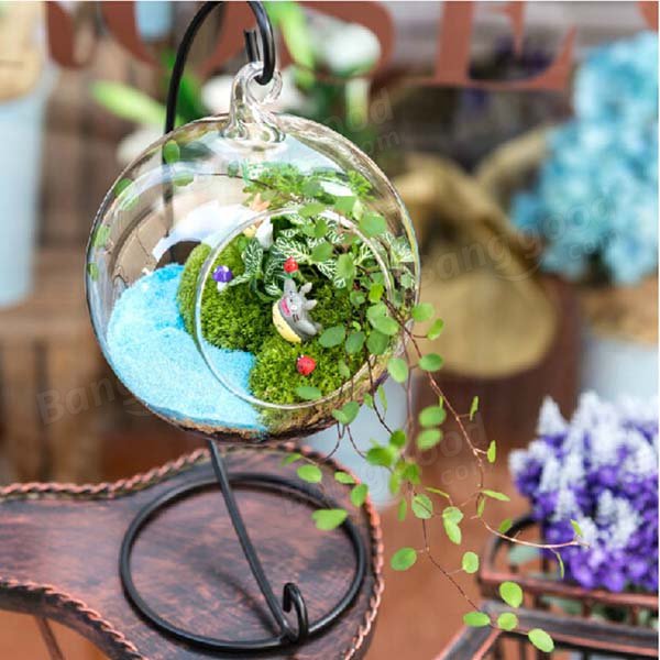 Ball pattern Hanging Glass Vase Micro Landscape!