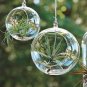 3 Pcs Set! Ball pattern Hanging Glass Vase Micro Landscape!