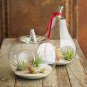 Crystal Glass Flower Vase Terrarium Container Micro Landscape Glass Bottles Decor