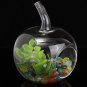 Crystal Glass Flower Vase Terrarium Container Micro Landscape Glass Bottles Decor
