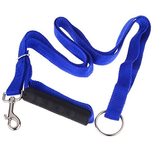 6 ft Anti Pulling Training Dog Leash - 6 ft