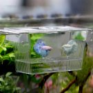 Aquarium Fish Breeding Hatchery Young Fish Incubator Isolation Box - Large 10x7x12.7cm
