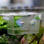 Aquarium Fish Breeding Hatchery Young Fish Incubator Isolation Box - Large 10x7x12.7cm
