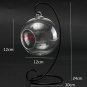 Micro Landscape DIY Plant Glass Hanging Ball (12cm dia.) With Iron Rack (24cm)