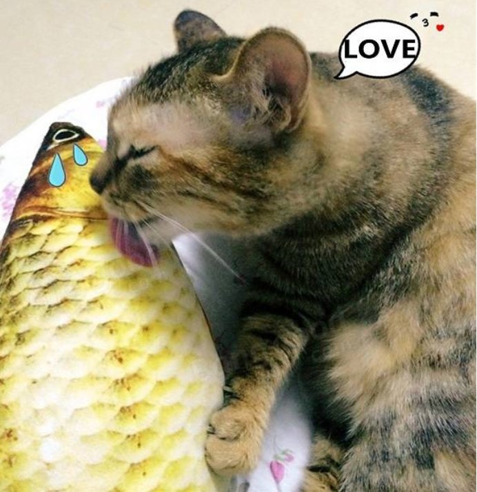 Cute Fish Shape Toy Stuffed Fish Toy for Cats!