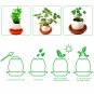Lucky Egg Pot Plant EGGLING CRACK & GROW! - Mint, Basil, Wild Strawberry