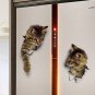3D Cute Cat Wall Stickers Toliet Stickers Decorations Creative Wall Stickers