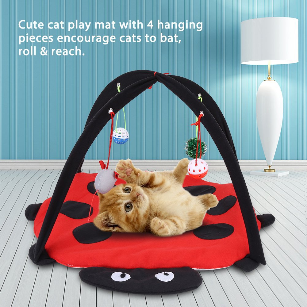 cat play tent