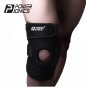 Power Ionics Professional Sport Gear Knee Brace
