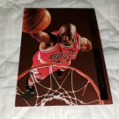 1994 UPPER DECK MICHAEL JORDAN BEHIND THE GLASS INSERT BASKETBALL CARD+USA CARD