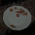 Vintage BAVARIA Mitterteich DINNER plate NORWAY ROSE