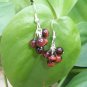 Red Tiger's Eye Bubble earrings by A Touch of Earth