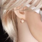 Gold Filled Earrings with Swarovski cristal